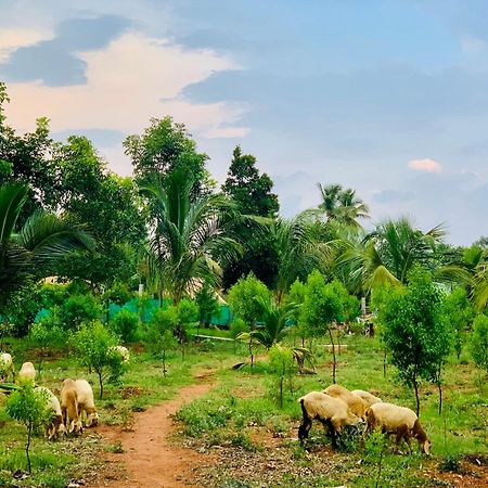 Eco Farm Villa Bangalore Buitenkant foto