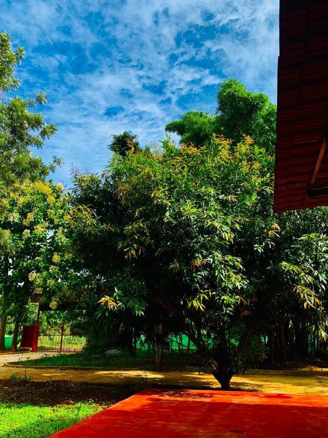 Eco Farm Villa Bangalore Buitenkant foto
