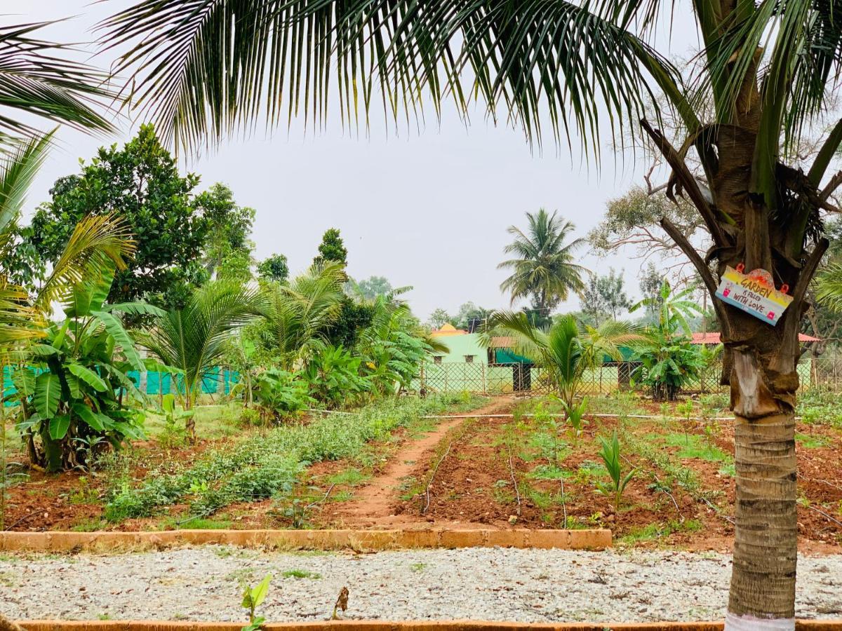 Eco Farm Villa Bangalore Buitenkant foto