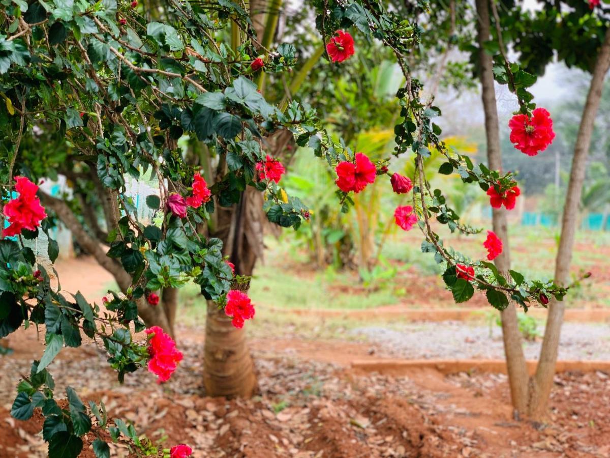 Eco Farm Villa Bangalore Buitenkant foto