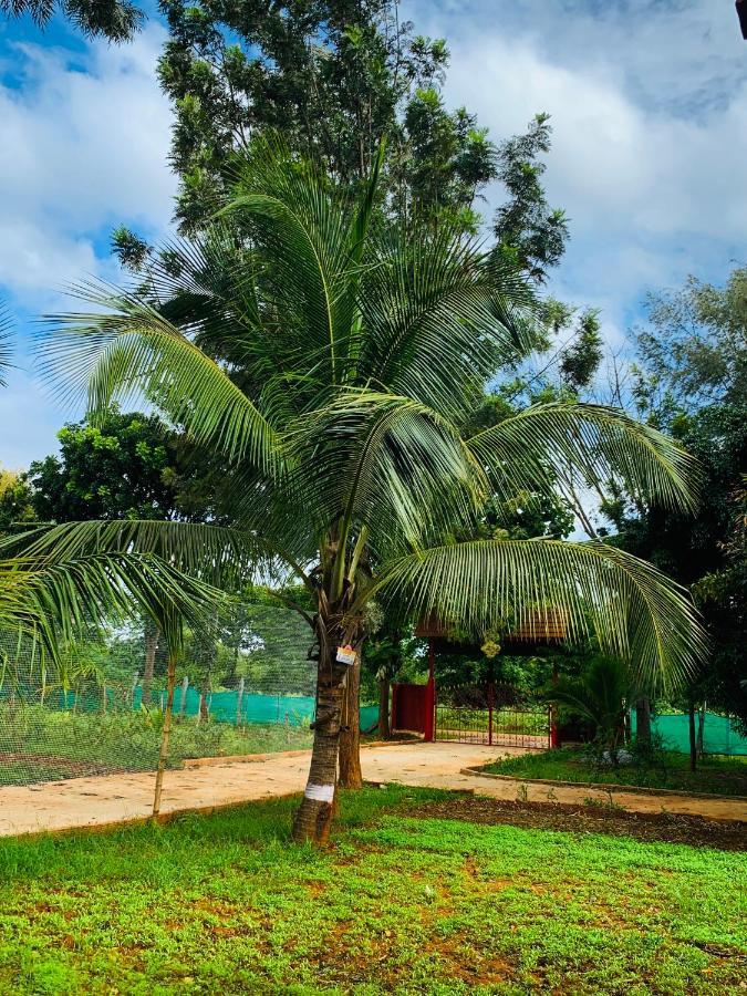 Eco Farm Villa Bangalore Buitenkant foto