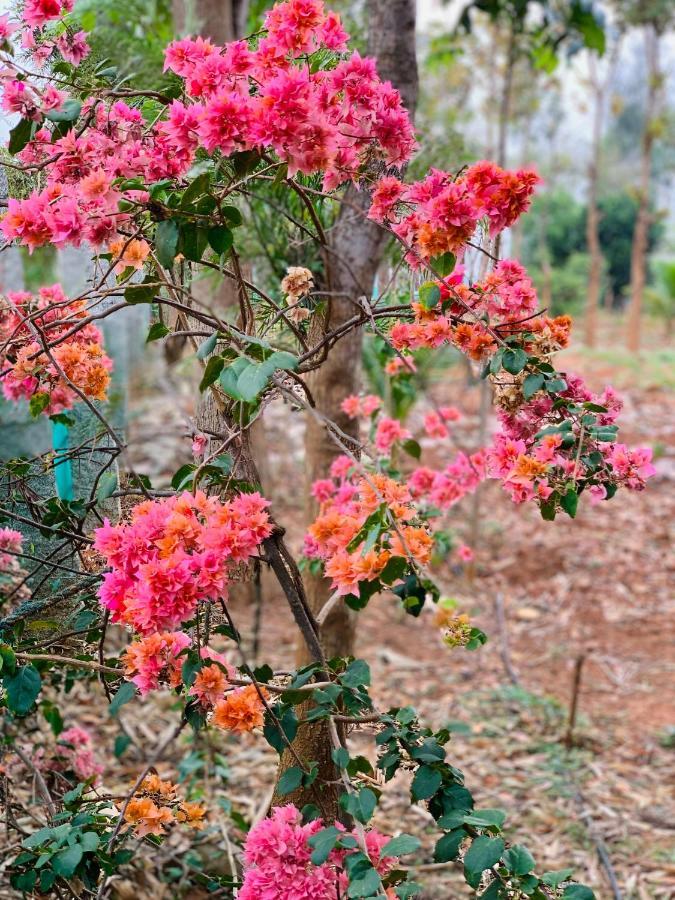 Eco Farm Villa Bangalore Buitenkant foto
