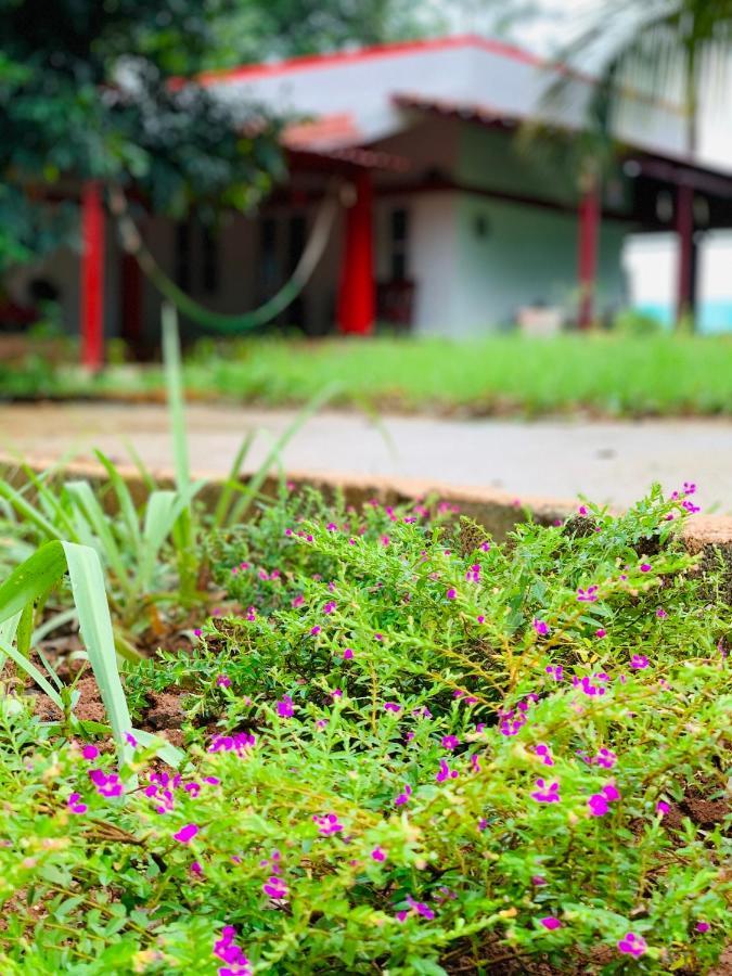 Eco Farm Villa Bangalore Buitenkant foto